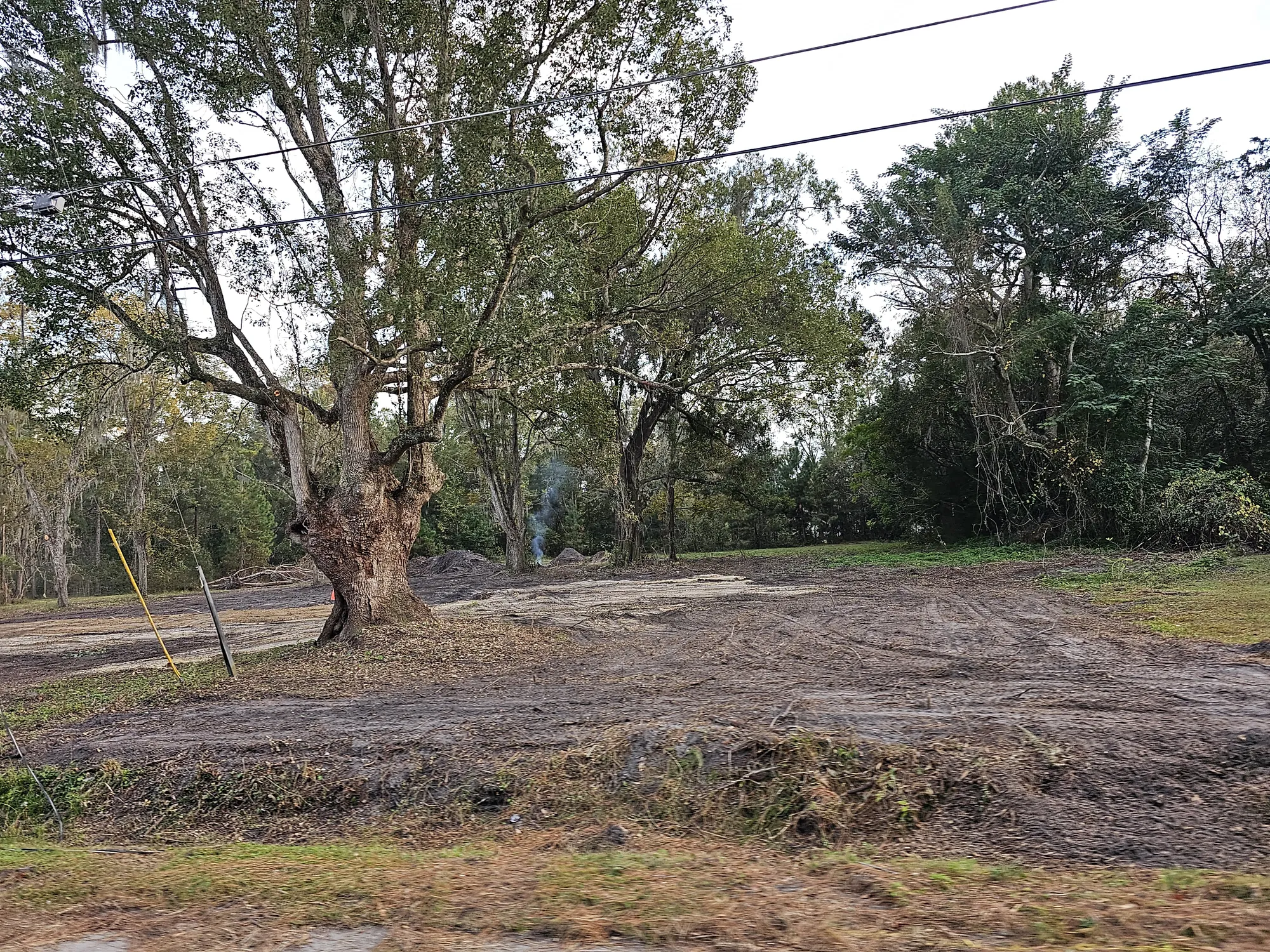 Full property land clearing with debris removal and ground leveling