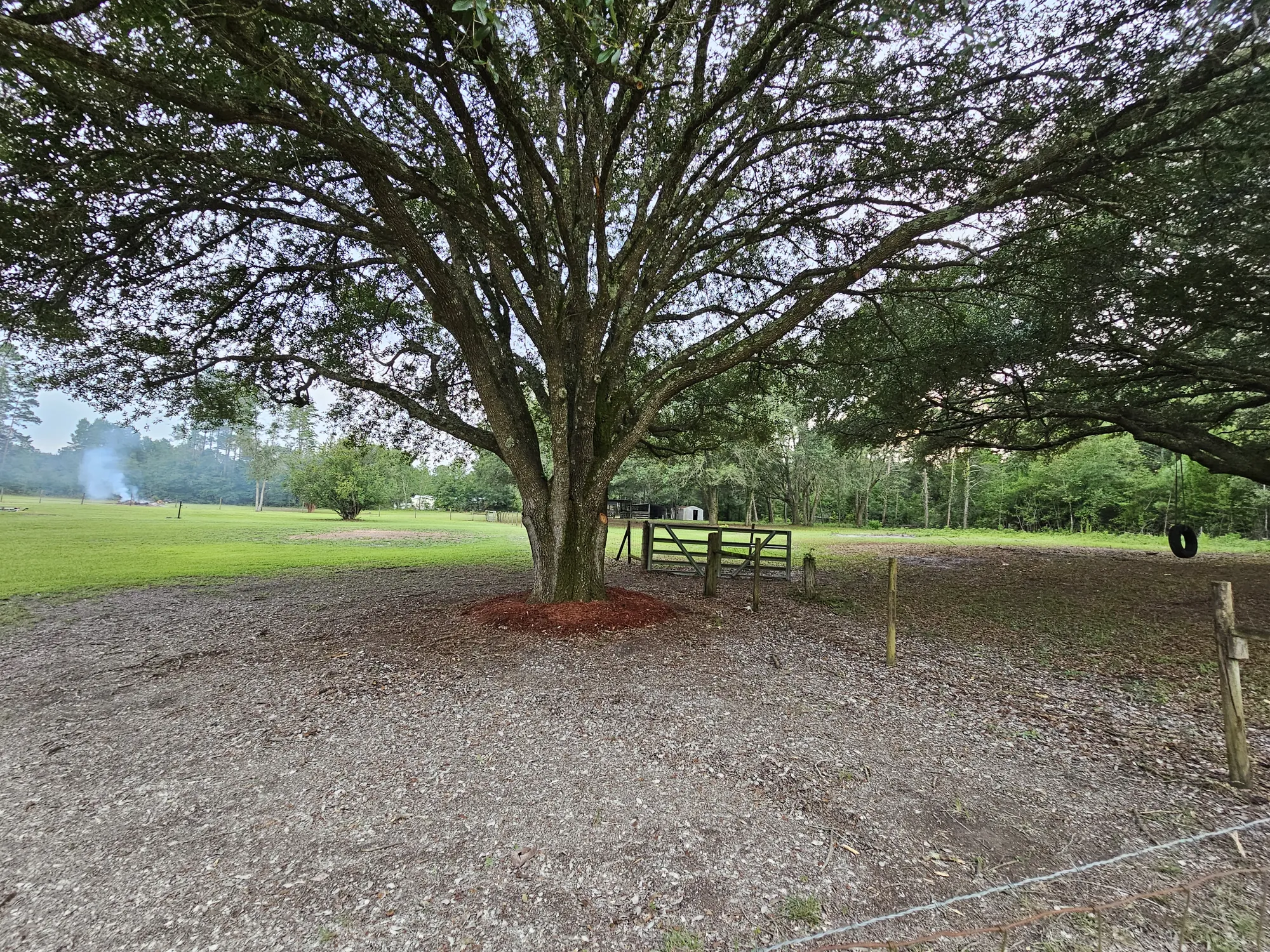 Professional tree removal and land clearing on a rural Florida lot